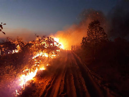 Brnde im Amazonas-Regenwald, August 2019, entlang einer Strae - Foto: Chico-Mendes-Institut -  Creative-Commons-Lizenz Namensnennung Nicht-Kommerziell 3.0