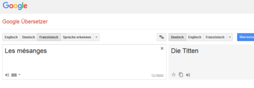Google Translator bei Eingabe von mesange - Screenshot: RN - Creative-Commons-Lizenz Namensnennung Nicht-Kommerziell 3.0