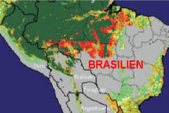 Fortschreitende Vernichtung des Amazonas-Regenwalds