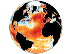 Meeresoberflächentemperatur, global, Juni 2023 - Grafik: CCCS - Creative-Commons-Lizenz Namensnennung Nicht-Kommerziell 3.0