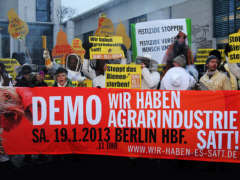 Demo für Agrar-Wende in Berlin, 19.01.2013
