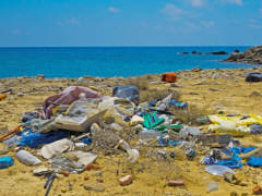 Plastik-Müll am Strand - Foto: adege - Creative-Commons-Lizenz CC0