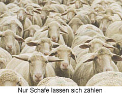 Nur Schafe lassen sich zählen