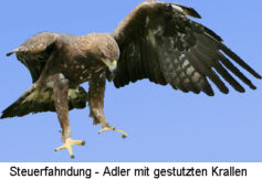 Steuerfahndung - Adler mit gestutzten Krallen