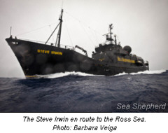 Steve Irwin, ein Schiff von Sea Shepherd