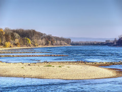 Rhein mit Niedrigwasser - Foto: distelAPPArath - Creative-Commons-Lizenz Namensnennung Nicht-Kommerziell 3.0