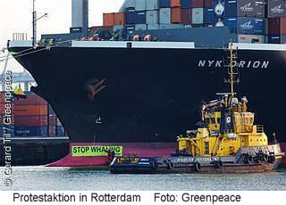 Greenpeace-Aktion in Rotterdem, 2.04.2010