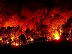 Der Amazonas-Urwald brennt - Foto: jlujuro, Creative-Commons-Lizenz Nicht-Kommerziell 3.0