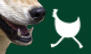 Wolfsrudel hält Wienerwald besetzt