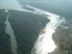 Xingu-Fluß im Amazonas-Regenwald